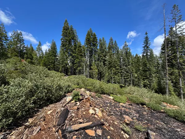 Strawberry Valley, CA 95981,3005 Sprucewood LN