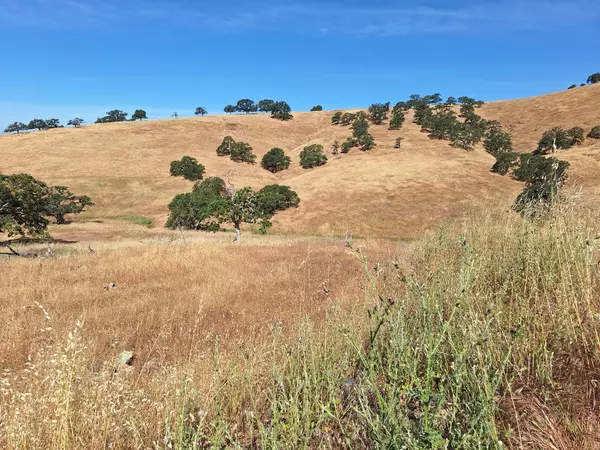 La Grange, CA 95329,9987 Hernandez