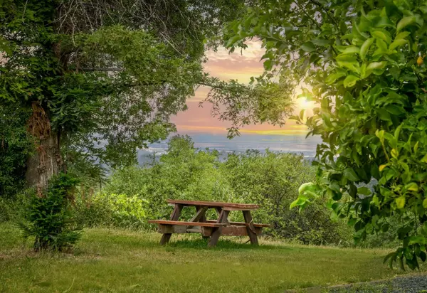 Smartsville, CA 95977,12606 Black RD