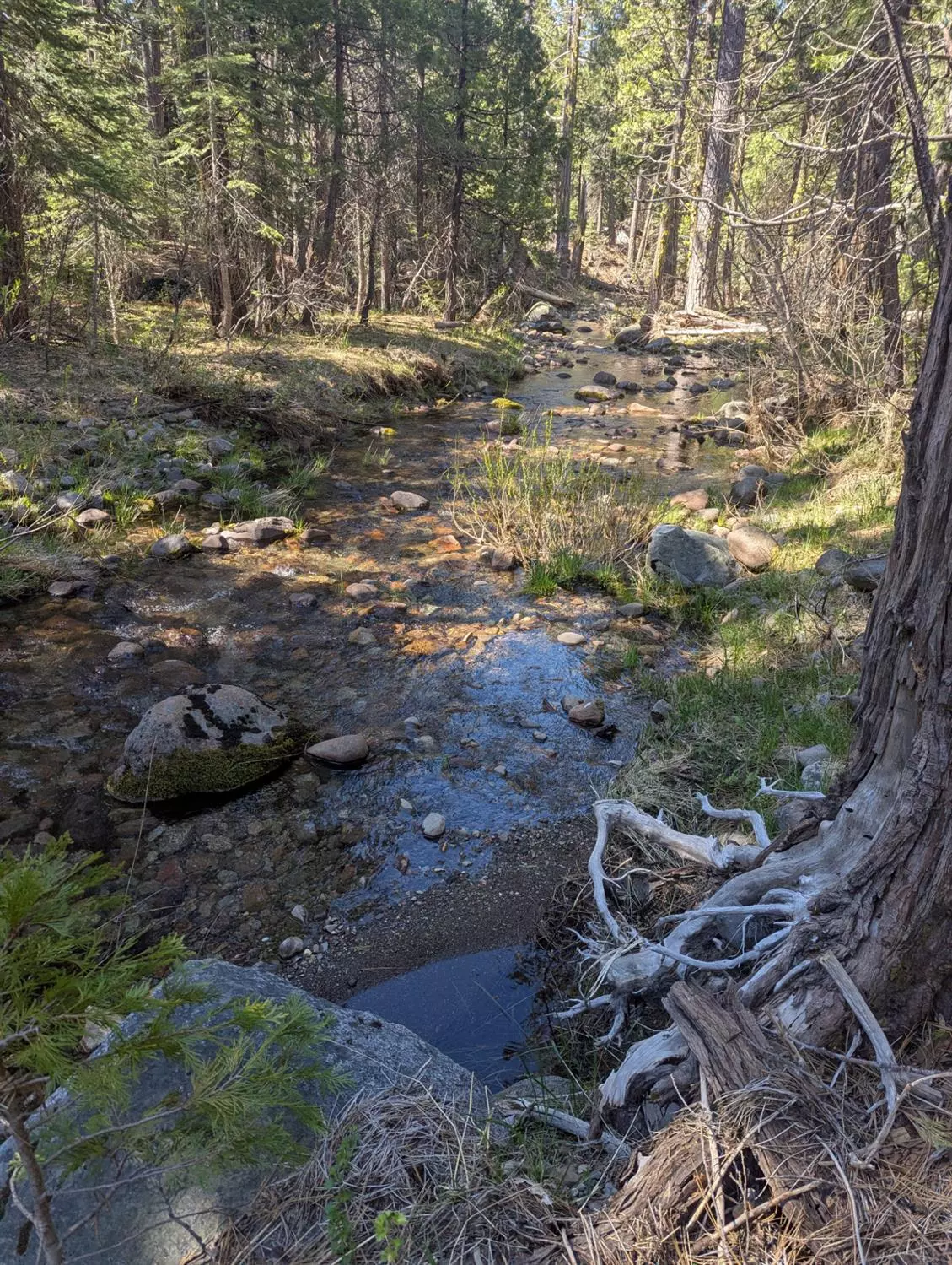 Emigrant Gap, CA 95715,0 Texas Hill