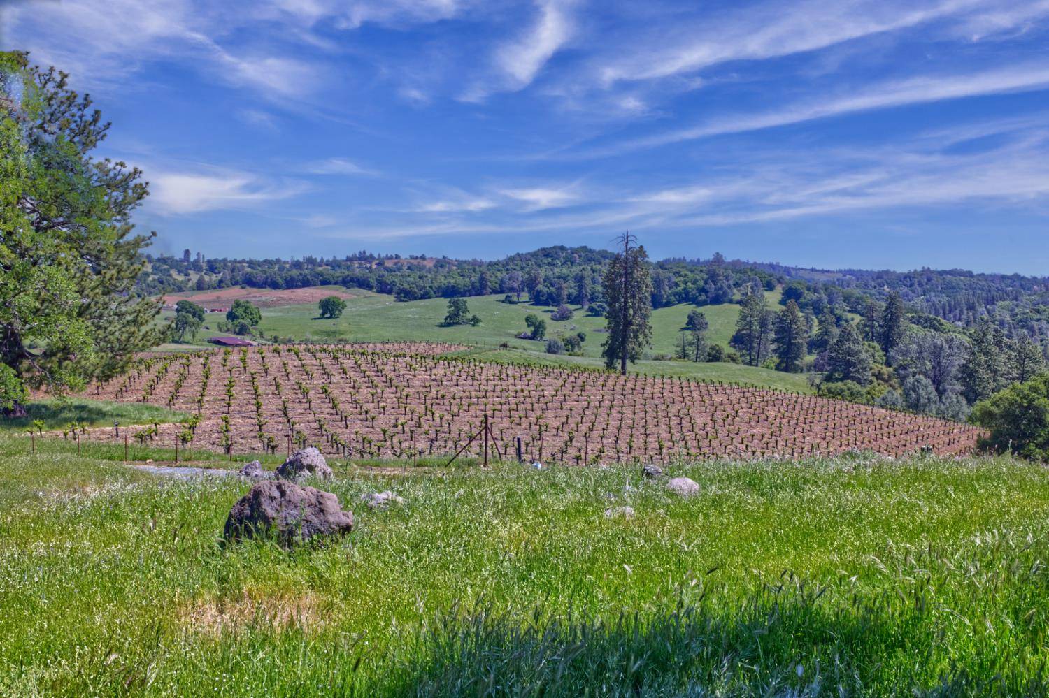 Plymouth, CA 95669,21012 Shenandoah School Road
