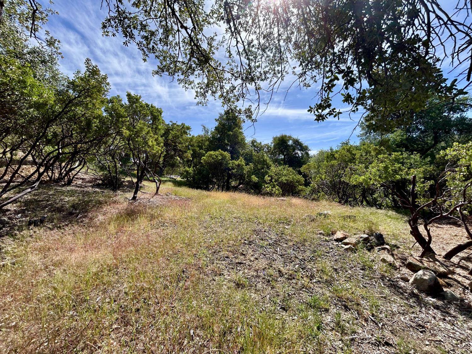Nevada City, CA 95959,15805 Shannon WAY