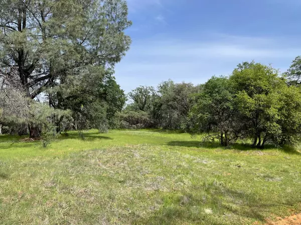 North San Juan, CA 95960,22677 Troost TRL