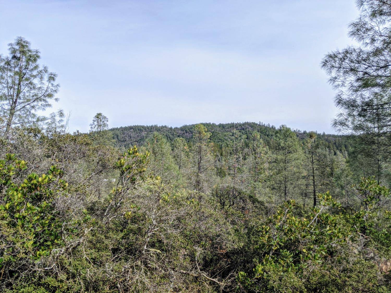 2080 Daffodil, Georgetown, CA 95634