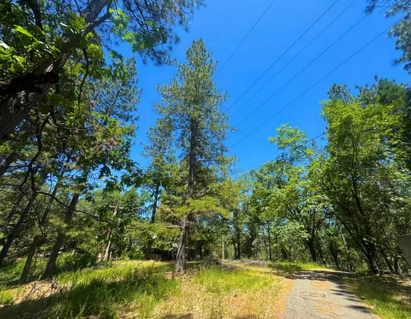 Colfax, CA 95713,355 Retherford RD