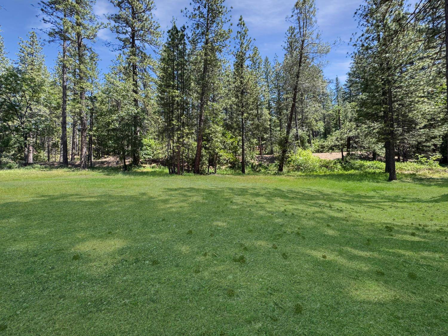 Nevada City, CA 95959,16970 Old Downieville HWY