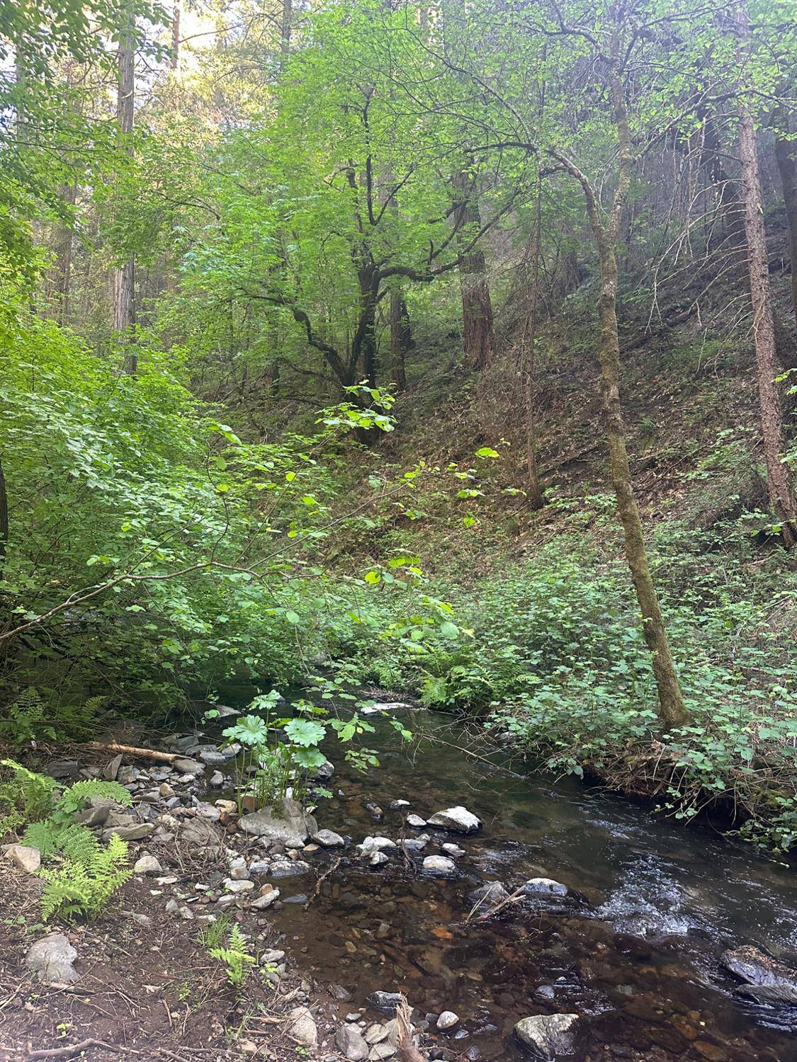 Placerville, CA 95667,0 Clear Creek Road