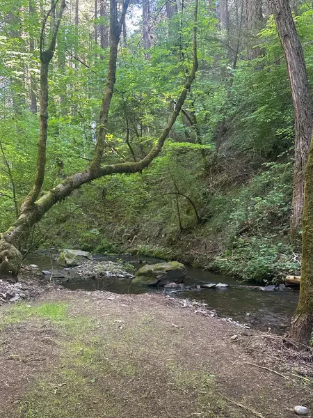 0 Clear Creek Road, Placerville, CA 95667