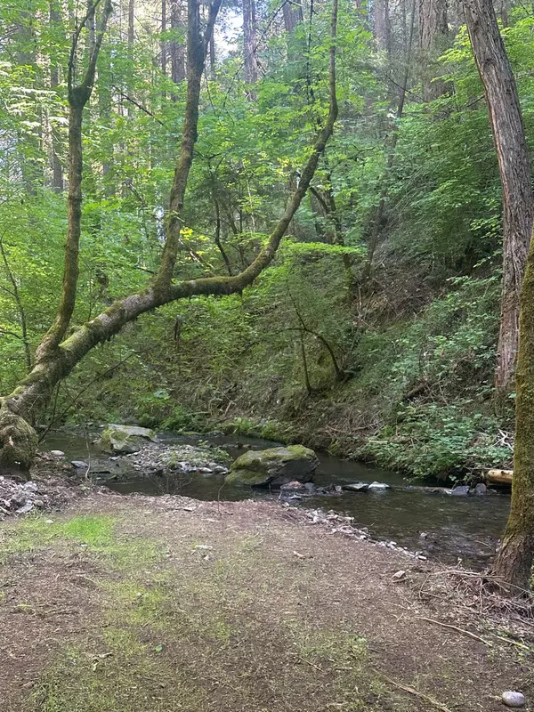 0 Clear Creek Road, Placerville, CA 95667