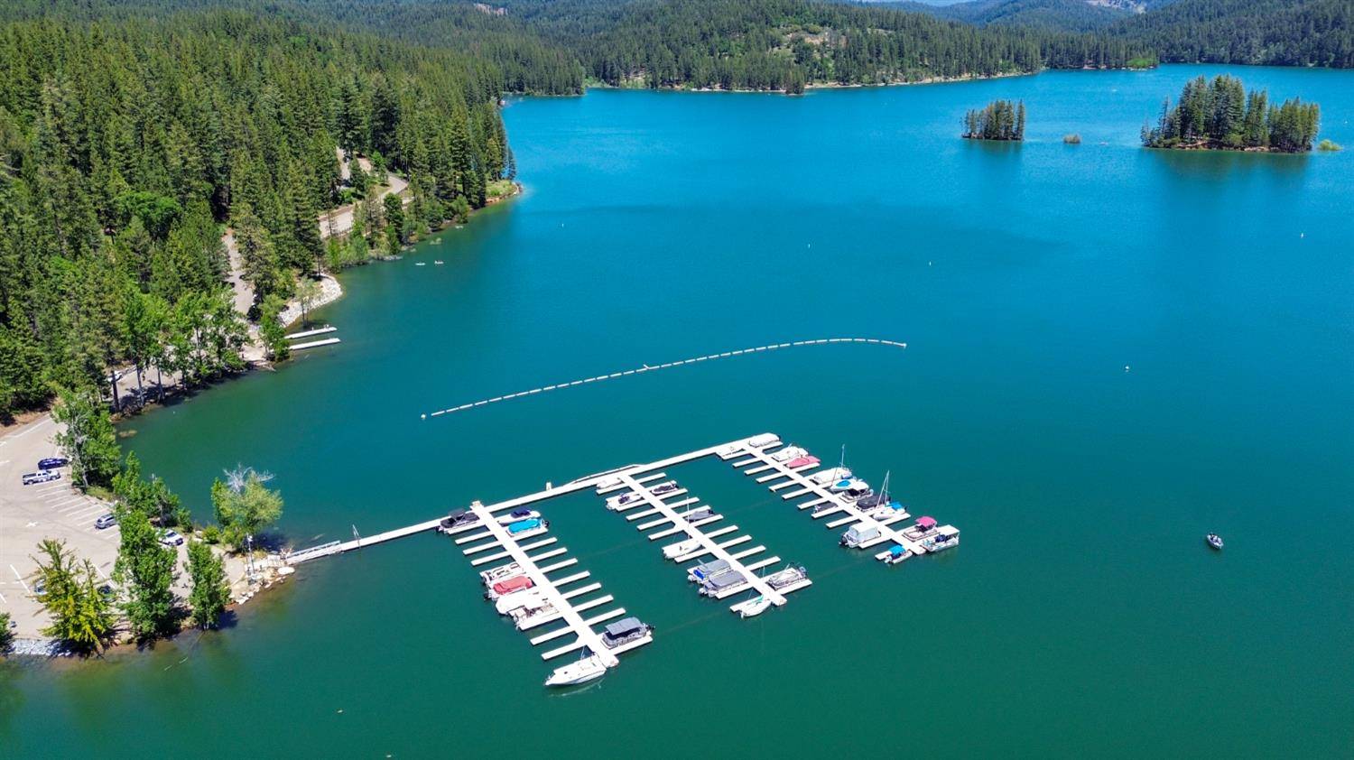 Pollock Pines, CA 95726,6003 Dolly Varden LN