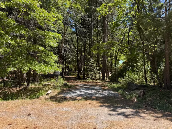Sierra City, CA 96125,400 Tamarack Bend