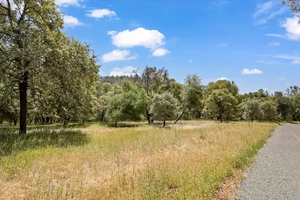Brownsville, CA 95919,14818 Willow Glen RD