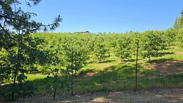 Camino, CA 95709,2254 Cable RD