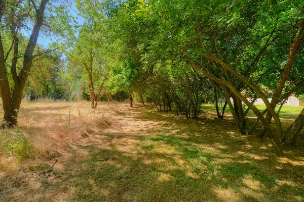 Carmichael, CA 95608,2254 Garfield AVE