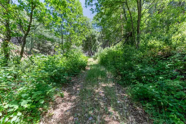 Grass Valley, CA 95945,20578 Woodpecker Ravine RD