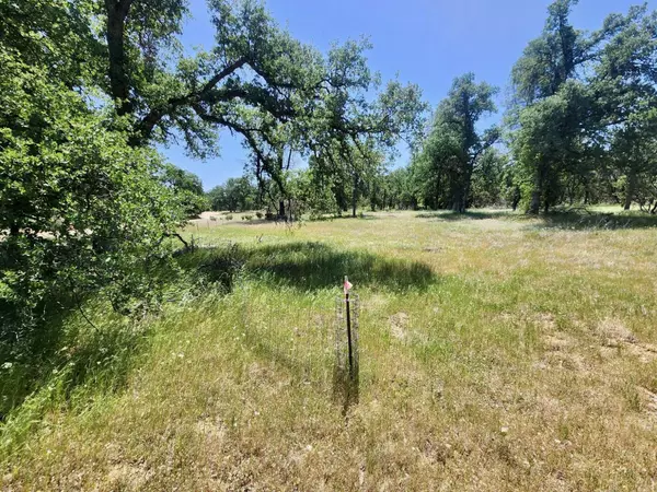 Cottonwood, CA 96022,0 Two Feathers RD