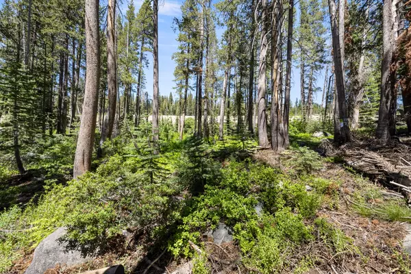 Soda Springs, CA 95728,21768 Lotta Crabtree TER