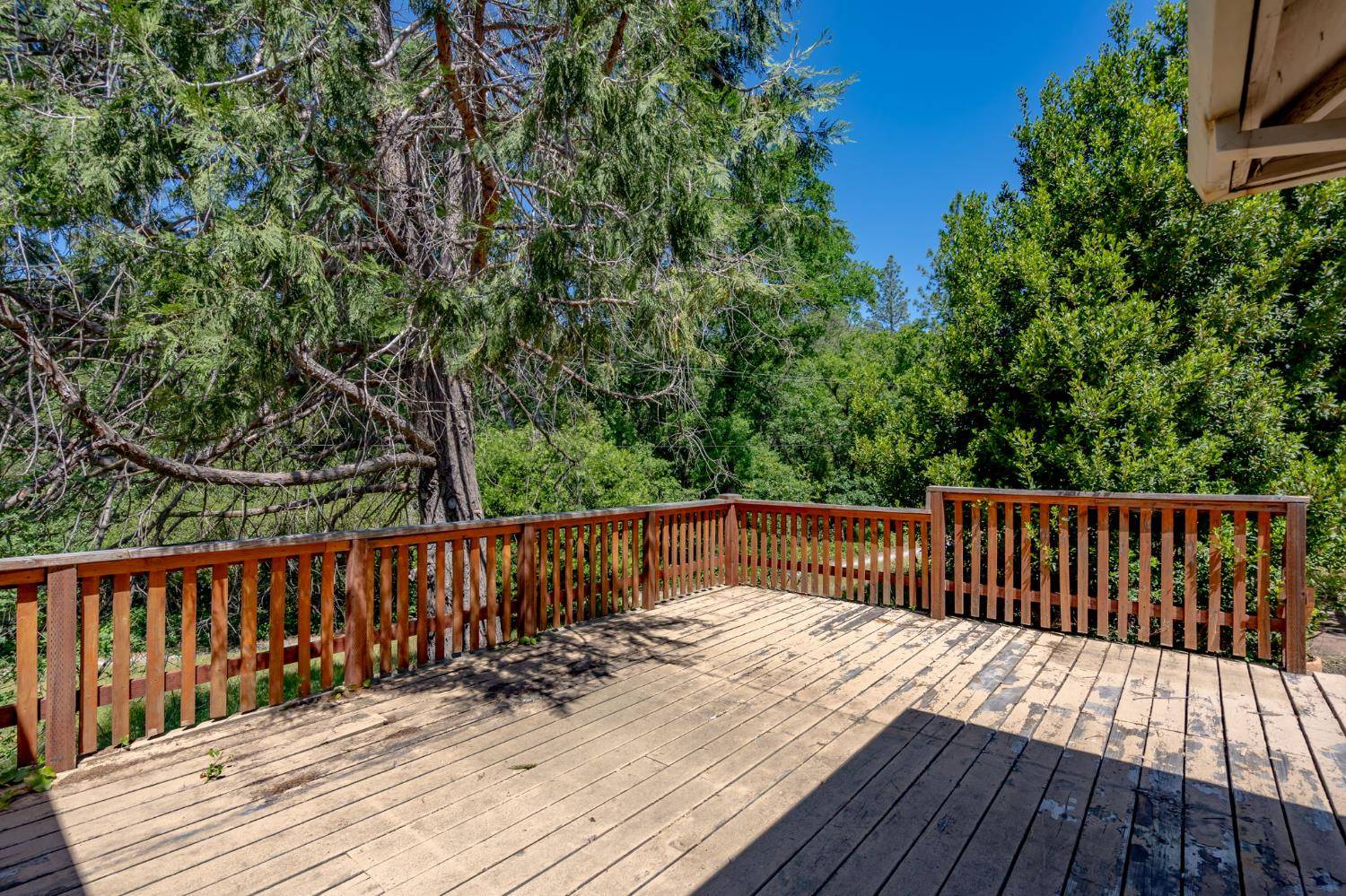 Somerset, CA 95684,1011 Mount Aukum CT