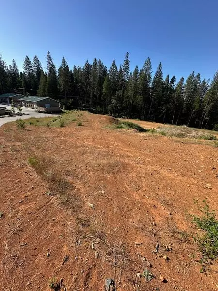 12828 Greenhorn RD, Grass Valley, CA 95945