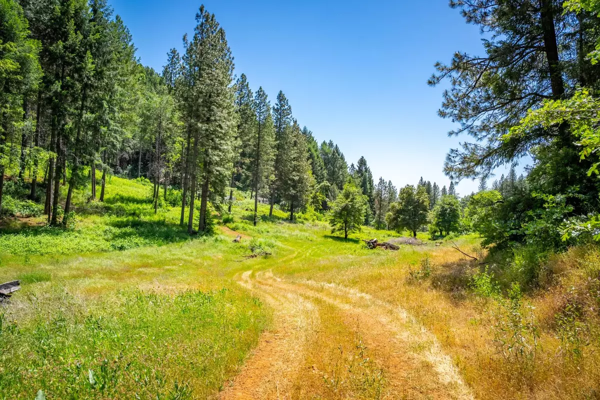 Georgetown, CA 95634,2 Volcanoville RD