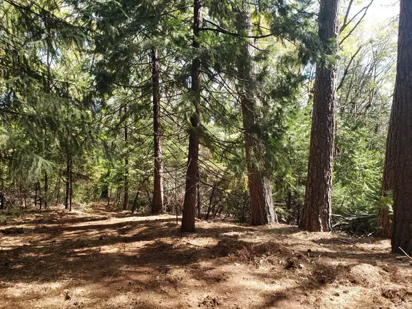 Georgetown, CA 95634,D Buffalo Hill RD