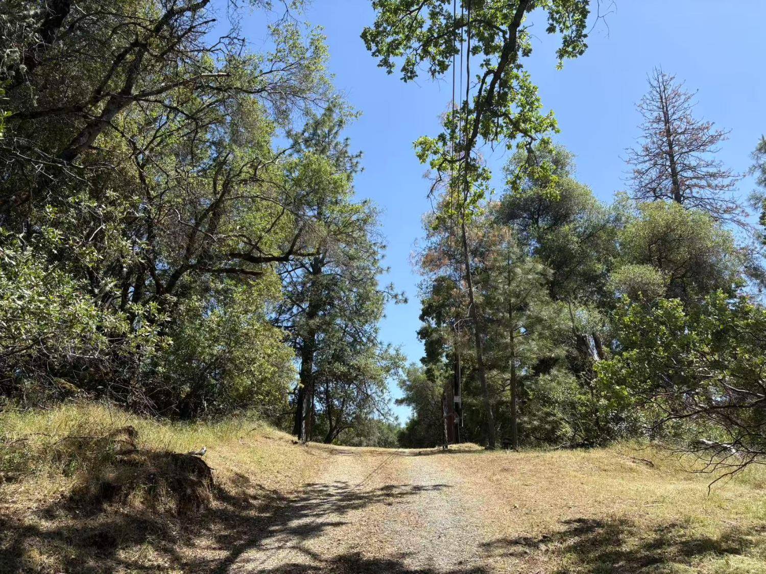 Somerset, CA 95684,7551 Van Pooka CT
