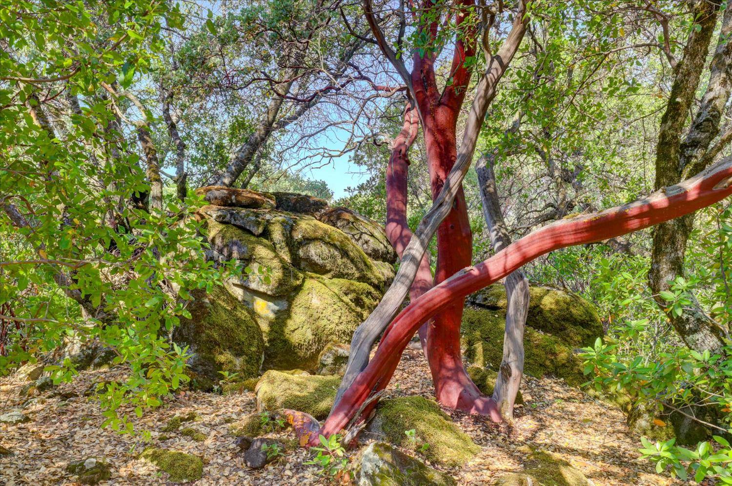 Grass Valley, CA 95949,13994 Chukar DR