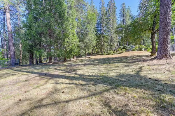 Meadow Vista, CA 95722,1925 Meadow Vista RD