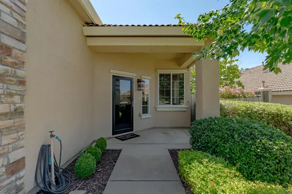 El Dorado Hills, CA 95762,2016 Tree Leaf WAY