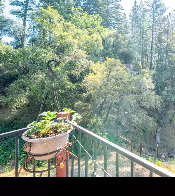 Colfax, CA 95713,111 W Oak Hill DR