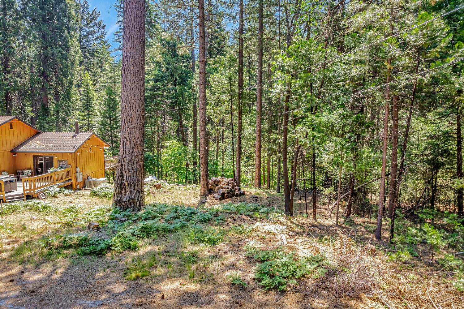 Pollock Pines, CA 95726,6134 Kokanee LN