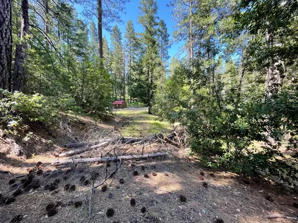 Magalia, CA 95954,6715 Hupp Coutolenc Rd