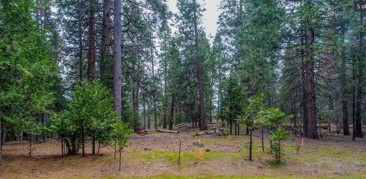 25594 Overland DR, Volcano, CA 95689