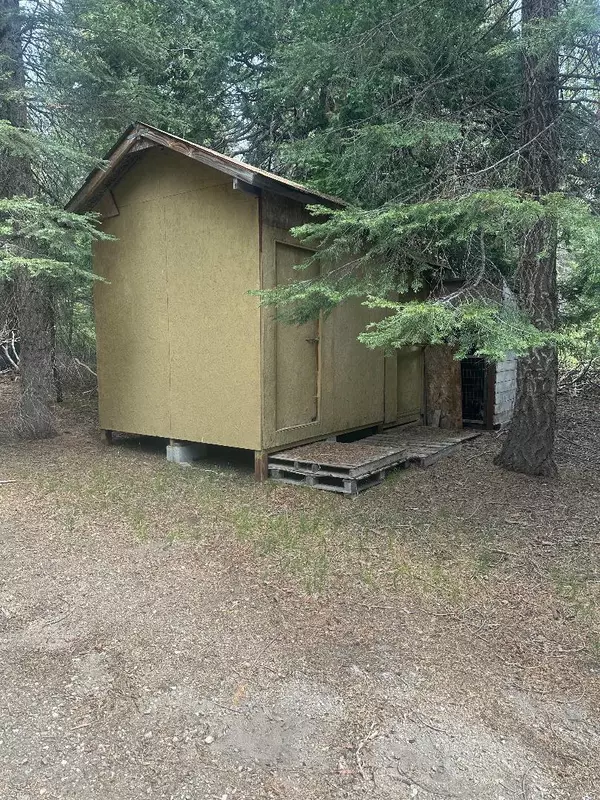 Mccloud, CA 96057,0 Widow Springs Drive