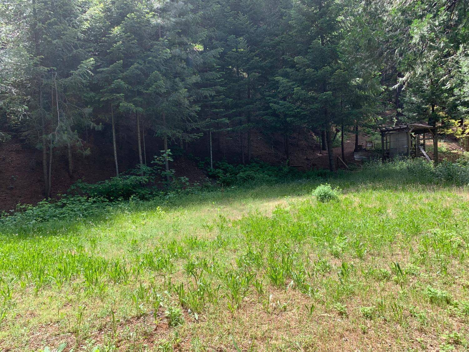 Pollock Pines, CA 95726,1 Stacy LN