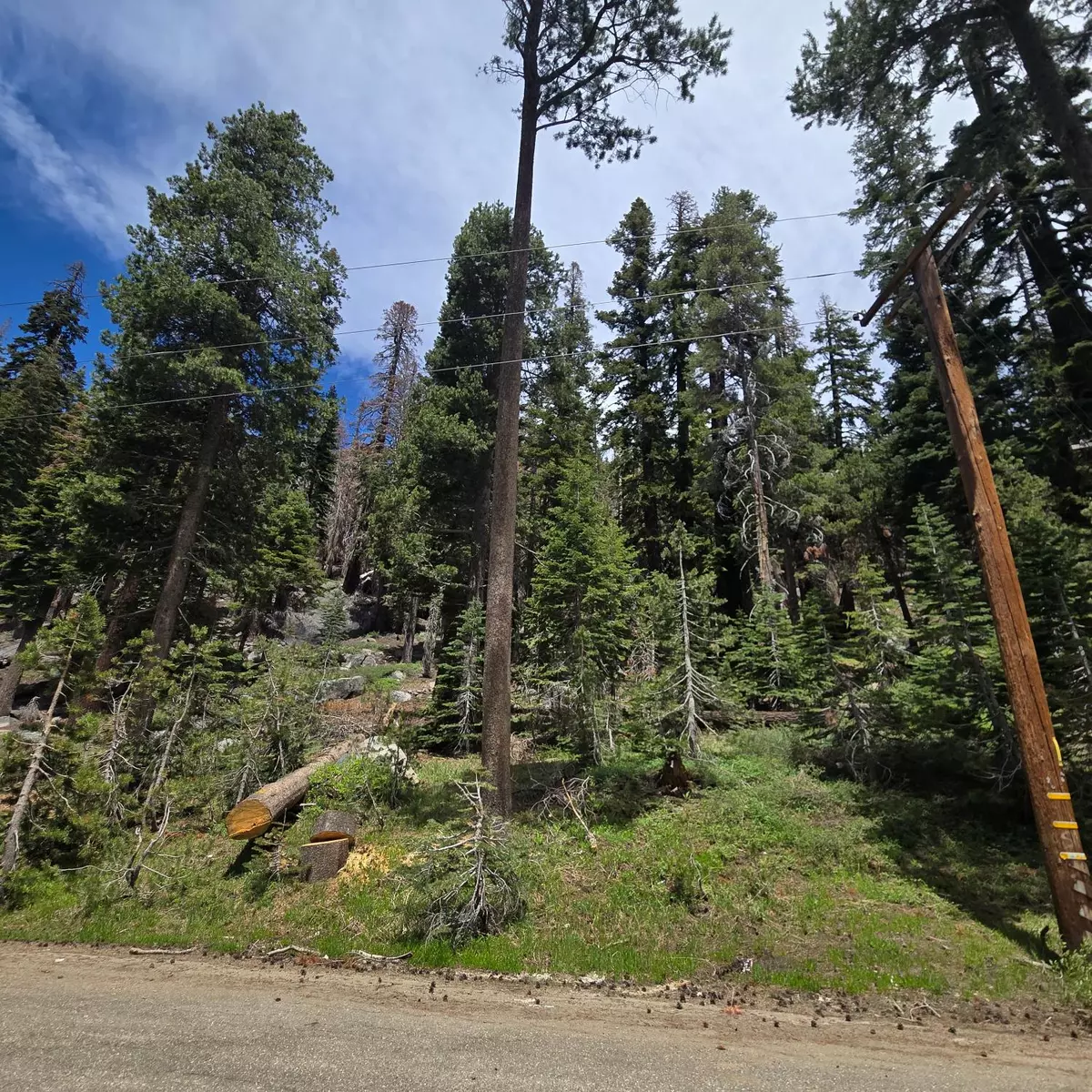 South Lake Tahoe, CA 96150,20465 US Highway 50