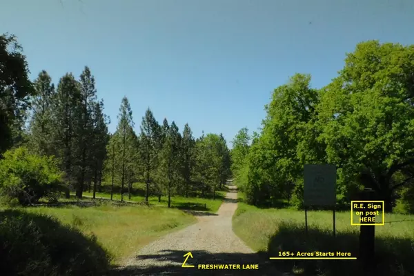 165 Freshwater LN, El Dorado, CA 95623