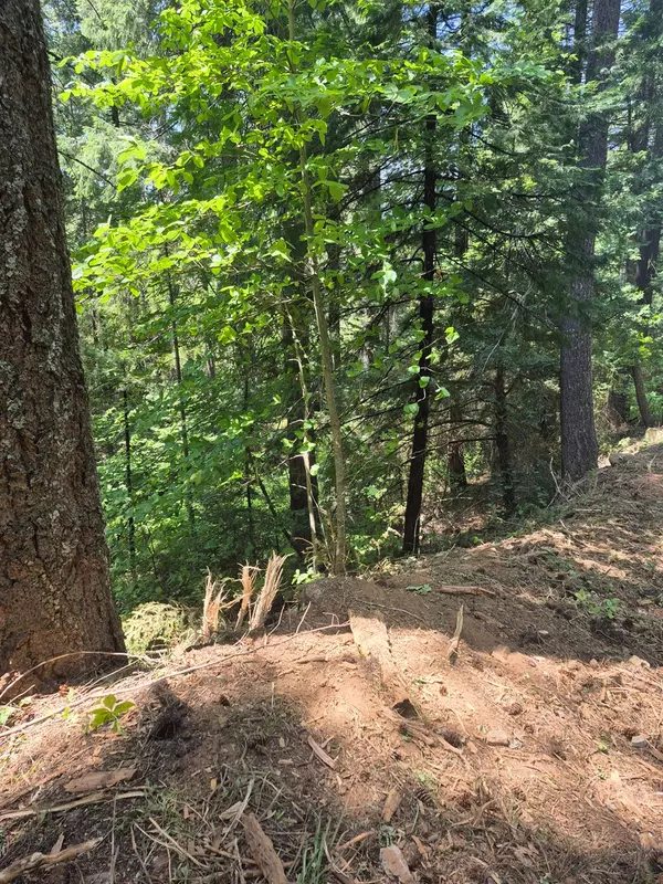 Pollock Pines, CA 95726,0 Mill Run