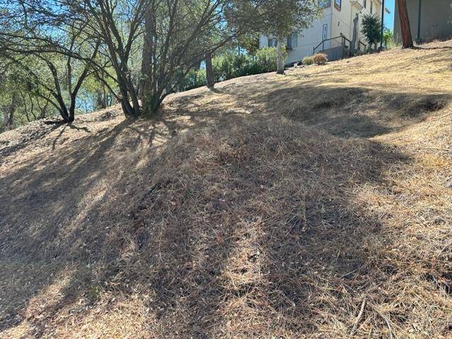 Copperopolis, CA 95228,695 Foothill RD