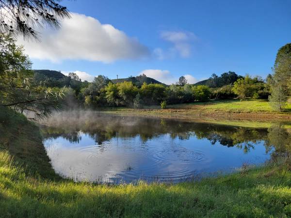13441 Frausto LN, Burson, CA 95225