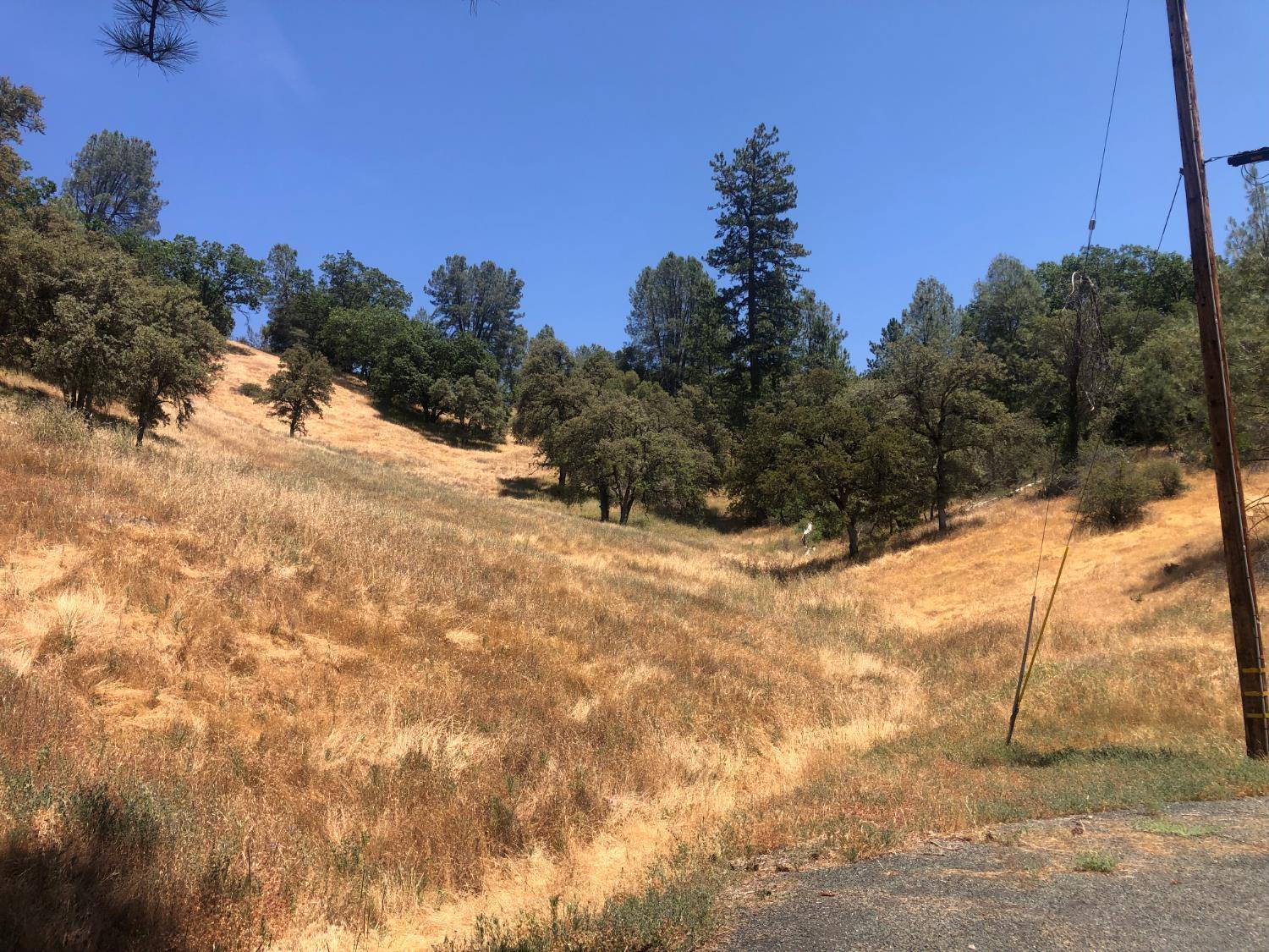 Grass Valley, CA 95949,12274 Kenneth CT