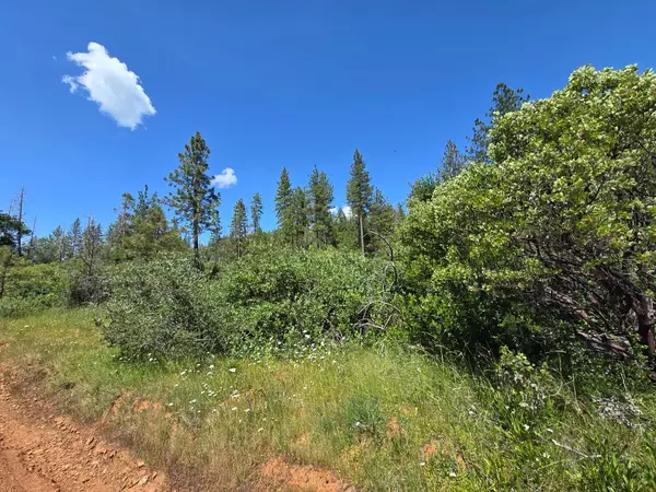 Brownsville, CA 95919,17711 Pamlo WAY