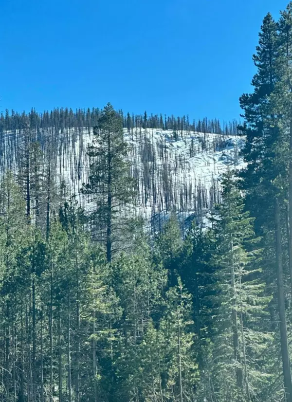 Twin Bridges, CA 95735,7177 Sierra Pines RD