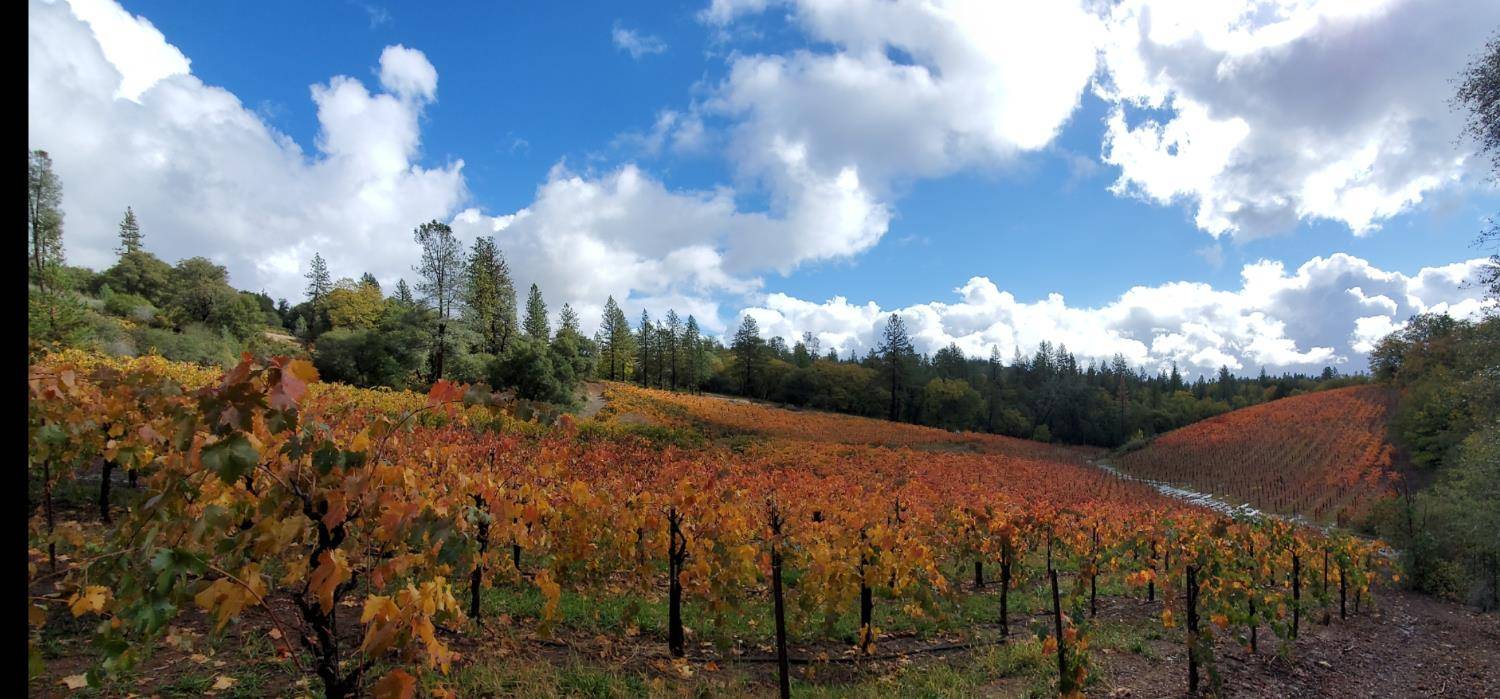Placerville, CA 95667,9425 Mosquito RD