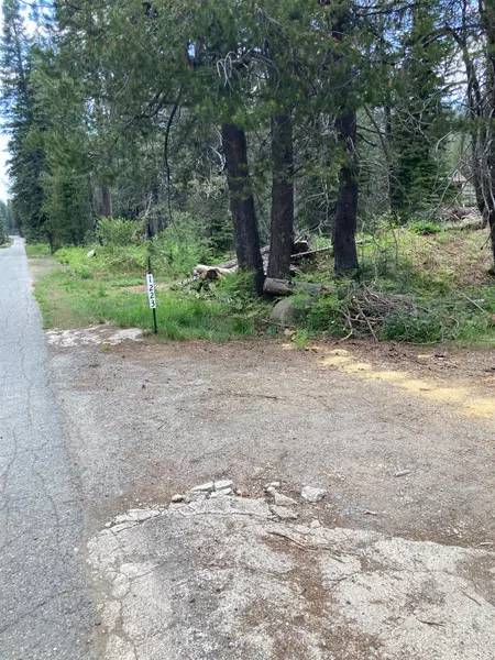 1223 Grizzly Loop, Bucks Lake, CA 95971