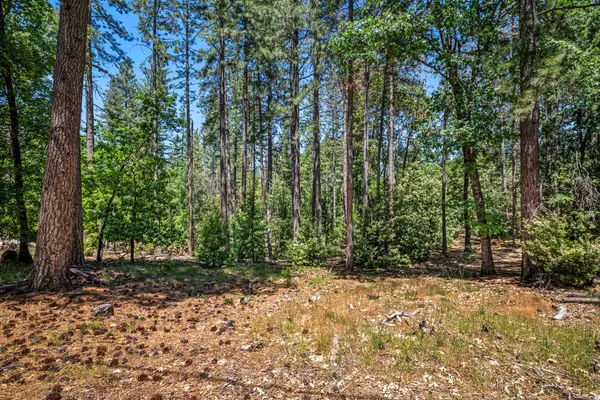 Placerville, CA 95667,6324 Dickinson RD