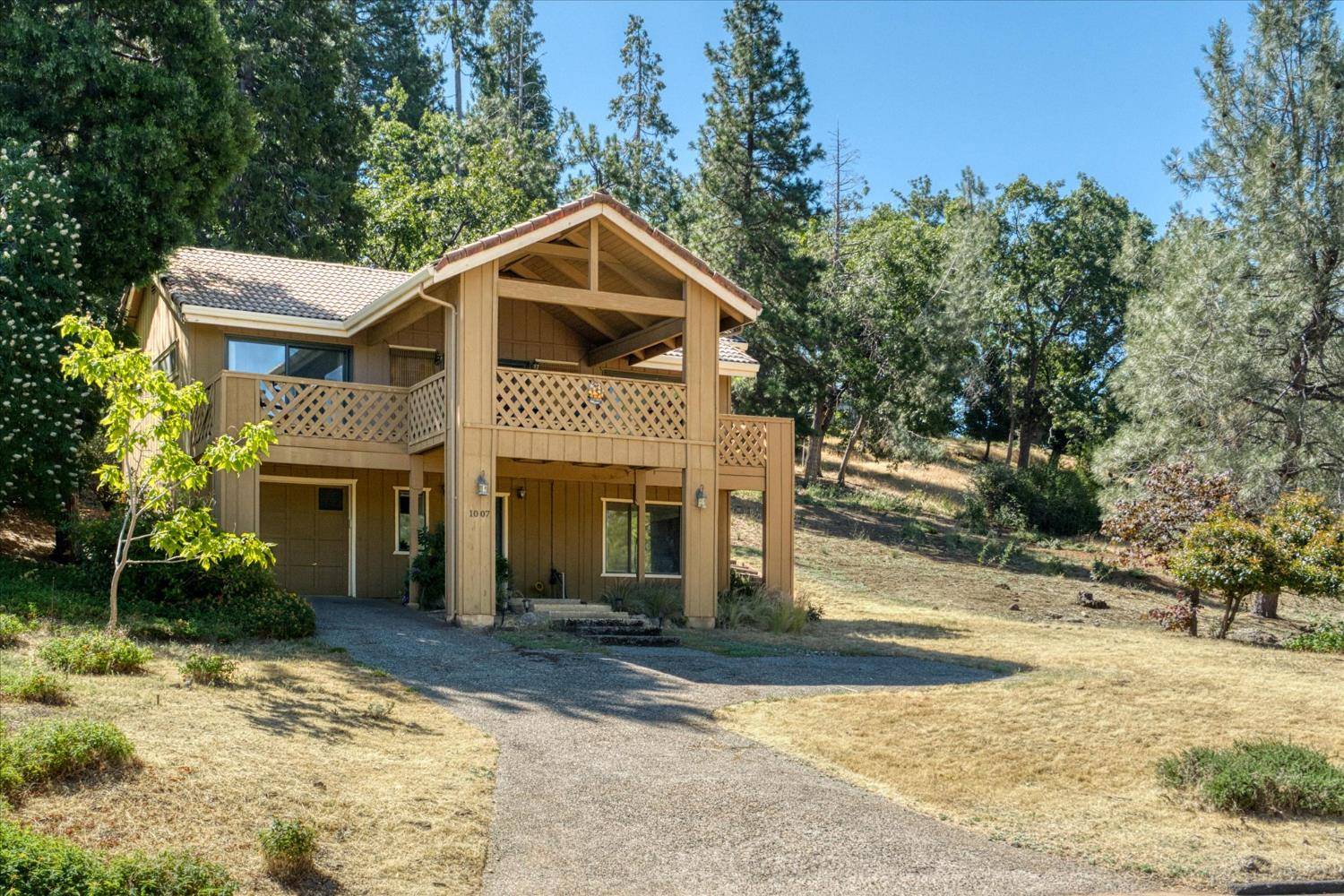 1007 Dogwood DR, Murphys, CA 95247