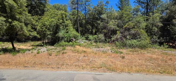 0 Freshwater LN, El Dorado, CA 95623