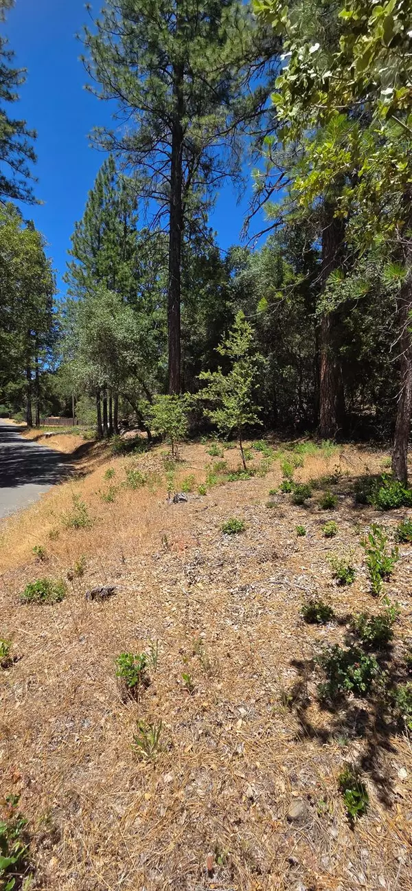 El Dorado, CA 95623,0 Freshwater LN