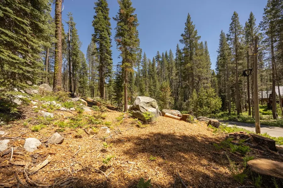 21864 Lotta Crabtree TER, Soda Springs, CA 95728